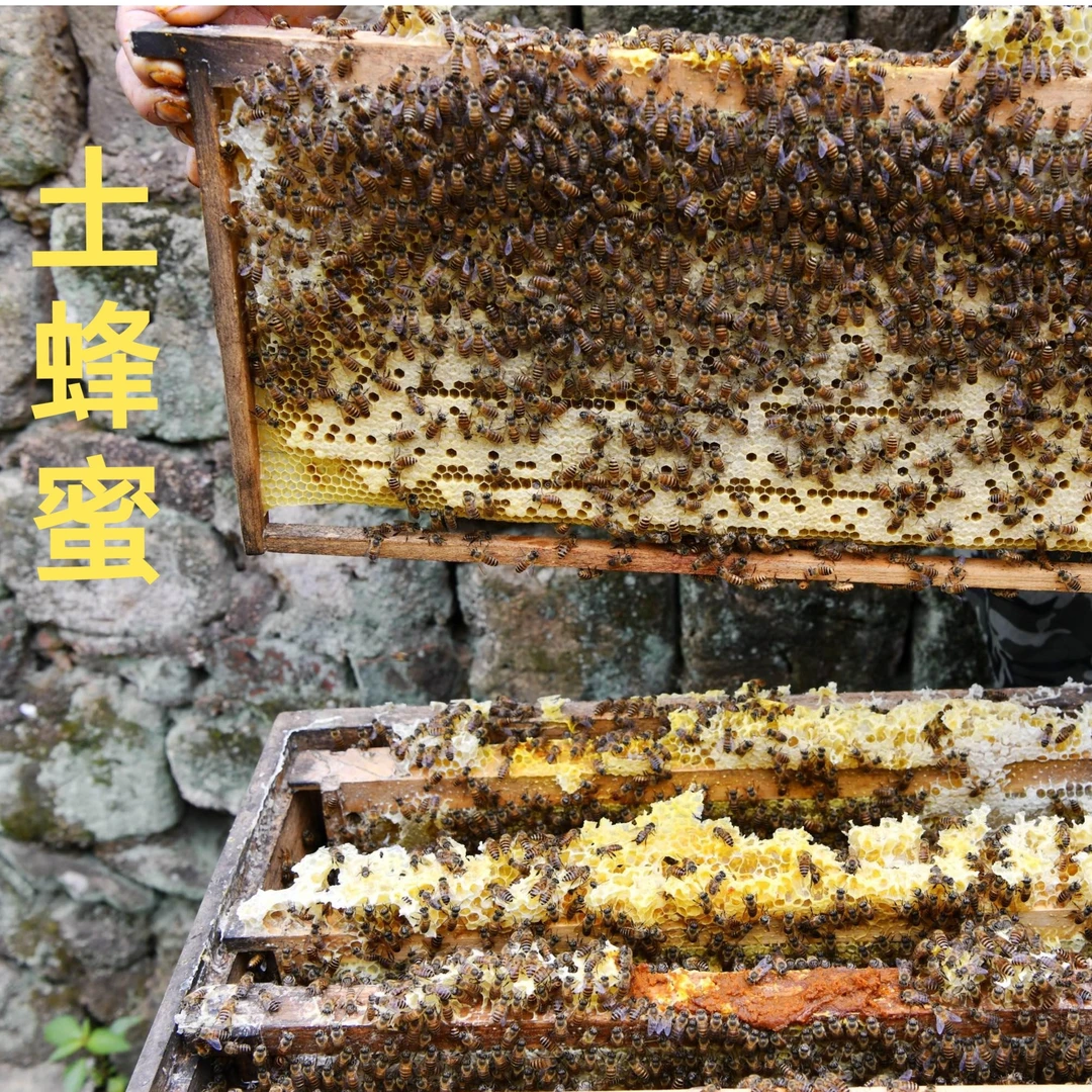 甘肃土蜂蜜500克