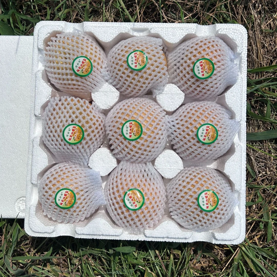 【脆甜多汁】山东烟台正宗秋月梨5/6斤坏果包赔现摘现发顺丰包邮