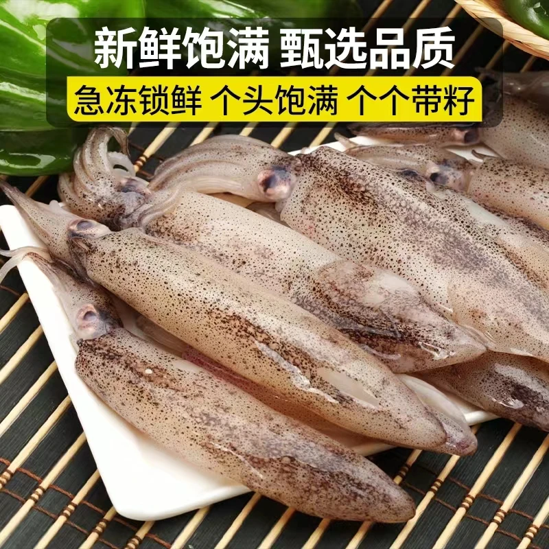 速冻海兔子满籽笔管鱼带籽海捕海兔鲜冻全籽籽乌红烧煲汤鲜美鲜香