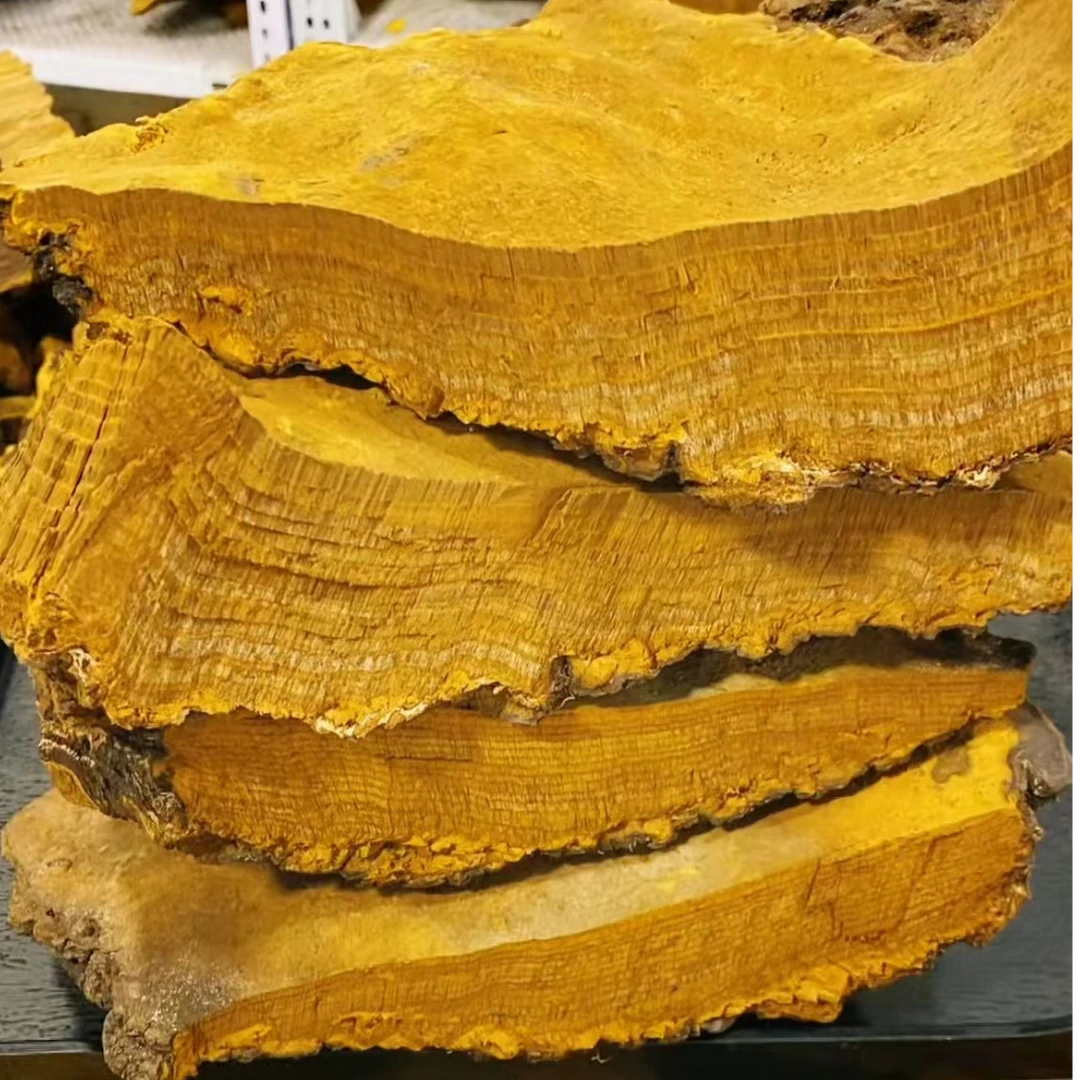 【西藏桑树桑黄百年老块】山货现称现拍丨250g/500克农产品