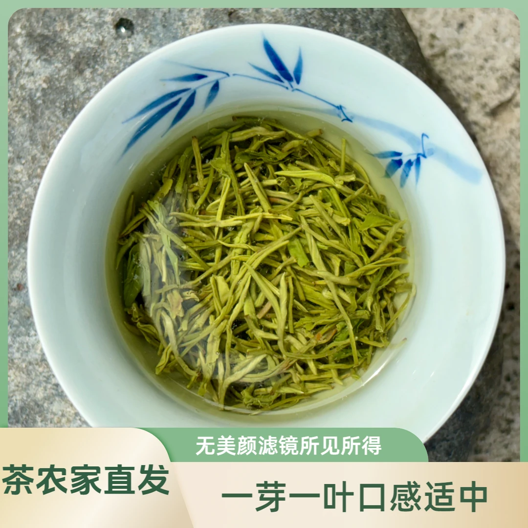 【毛尖】最后2斤2024春茶雅安蒙顶高山农家65%芽头鲜爽醇耐泡回甘