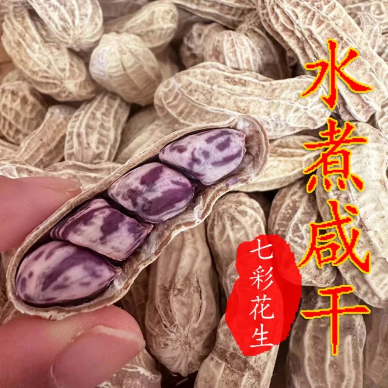 水煮咸干七彩花生云南特产湿烤七彩花生黑花生带壳散装聚会零食