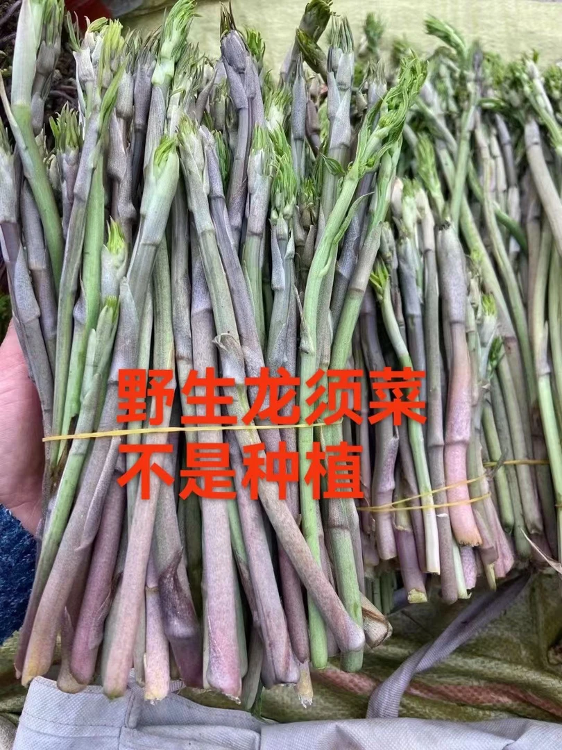 东北龙须菜山野菜包饺子炒肉包包子超鸡蛋好吃