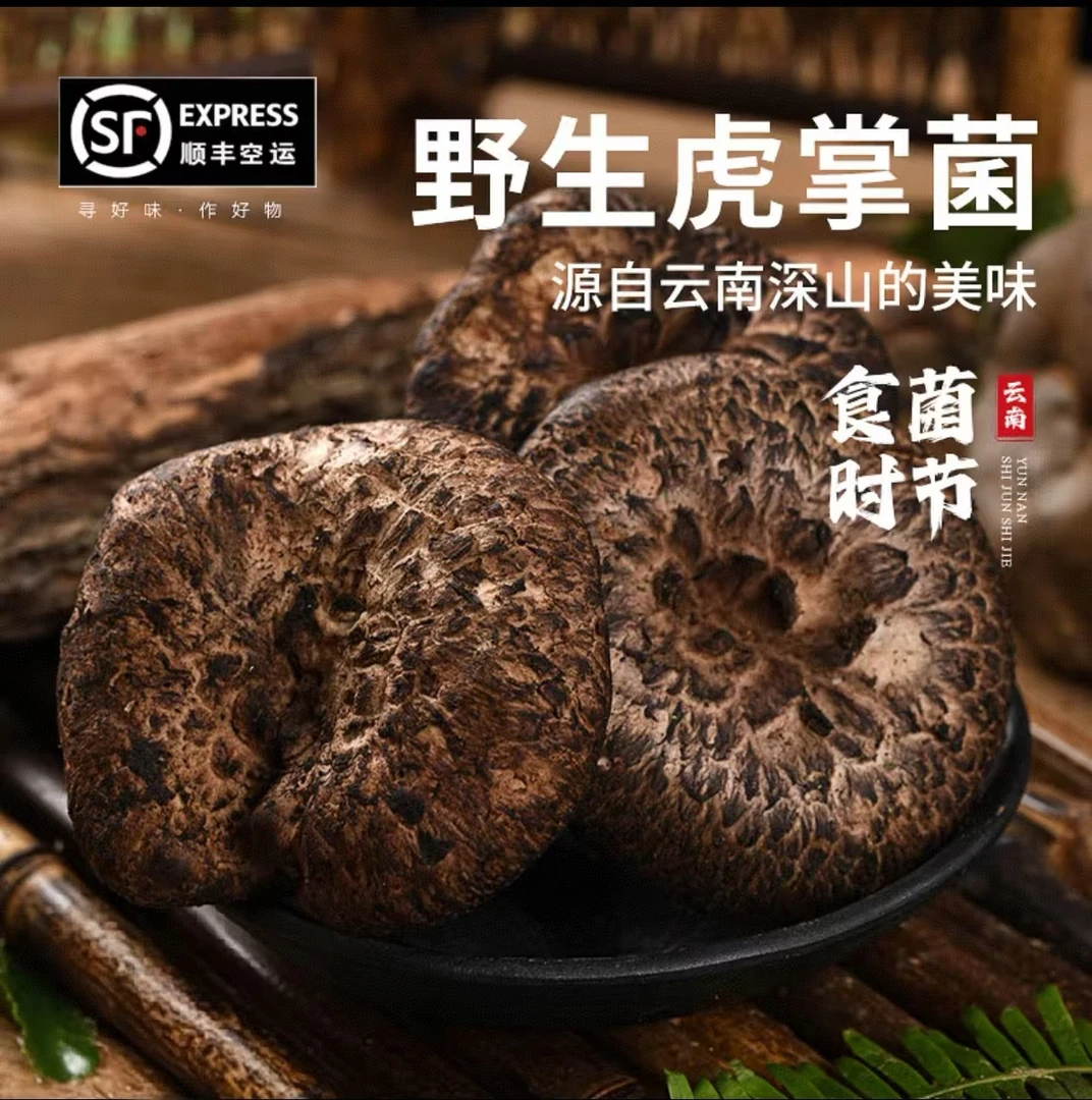 正宗黑虎掌菌干货果长6-10大果云南野生营养煲汤产地直发当季新货