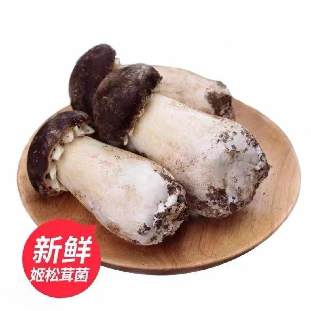 2024新鲜姬松茸云南食用蘑菇高原菌菇冬季煲汤火锅基地现发包邮