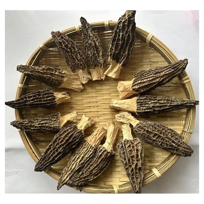 【云南正宗羊肚菌】云南正宗羊肚菌500g中大号食用煲汤顺丰包邮