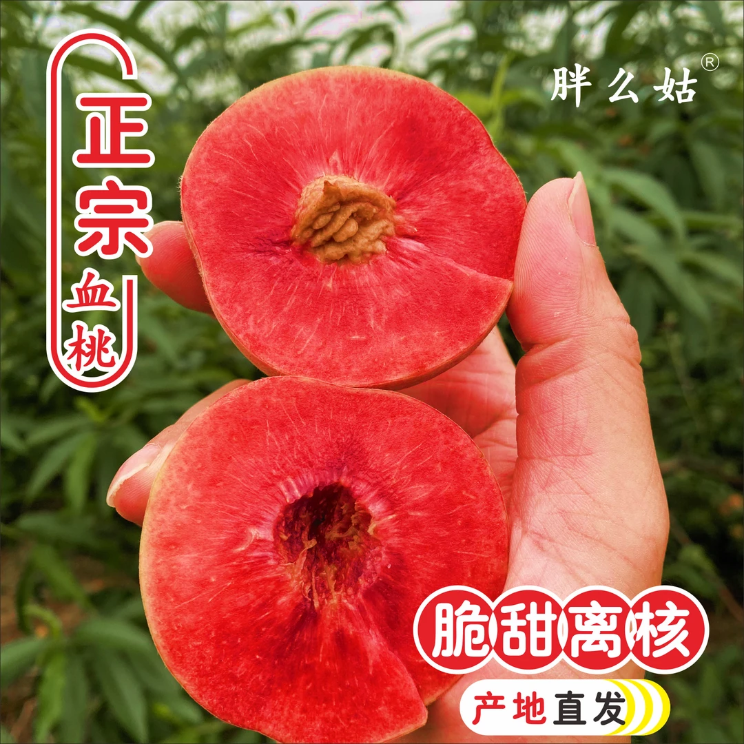 正宗老树血桃5斤/2斤猪血桃胭脂红湖北特色新鲜水果生鲜