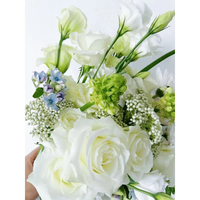 【天鹅舞花束】混搭花束 室内水培鲜切花 鲜花礼物 DIY 花束