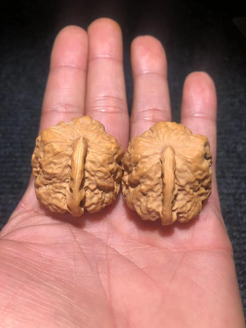 蛤蟆头一帆风顺