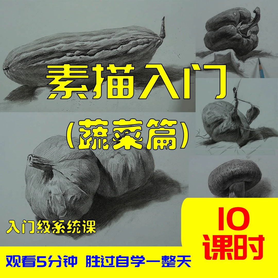 素描零基础入门蔬菜单体系统课进阶老师
