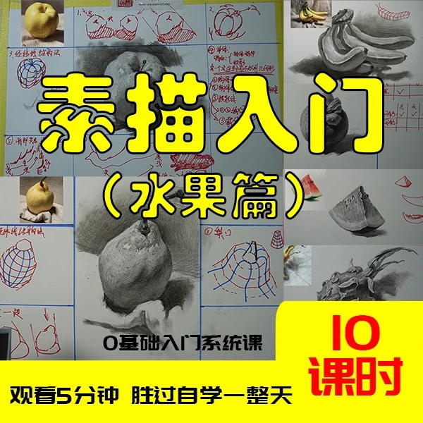 素描入门课零基础也能学水果单体系统课