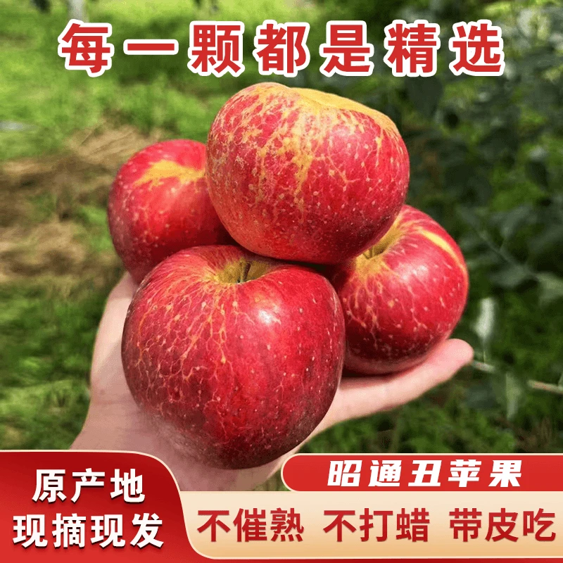 云南头茬丑苹果自然成熟红皮黄肉脆甜多汁带皮8分甜2分酸果园直发
