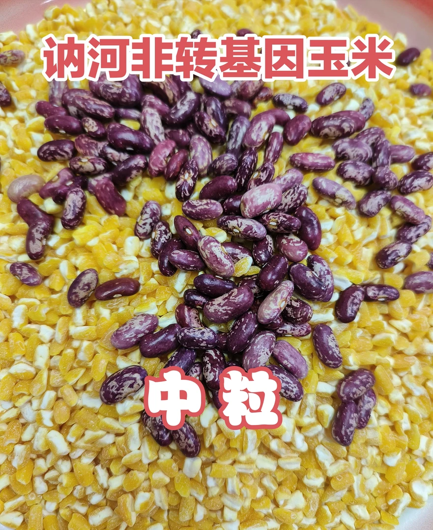 东北黑龙江非转基因大碴子粘玉米代豆5斤