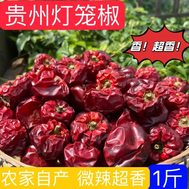 贵州灯笼椒 干辣椒 超香 微辣超香 油辣椒 干锅 炝炒