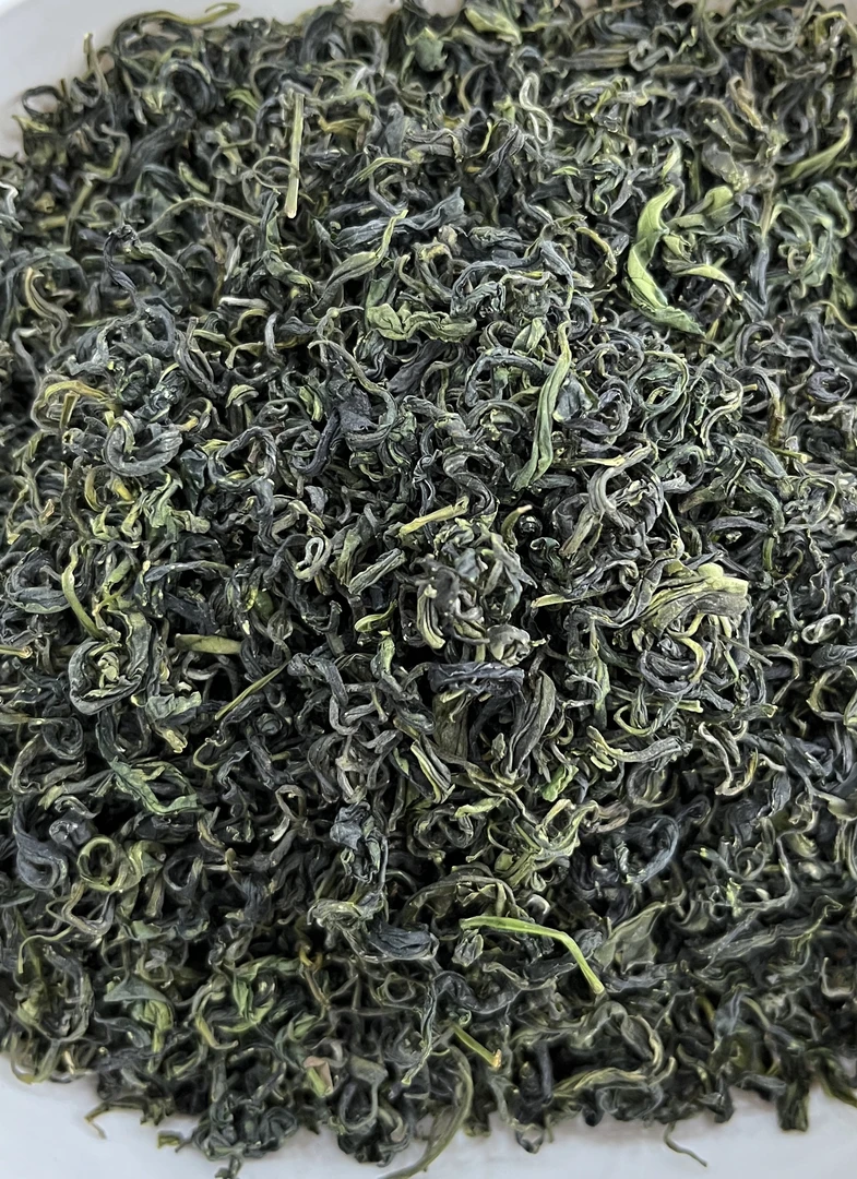 日照绿茶 厂家福利 耐泡沙口板栗香味十足新茶 500克山东