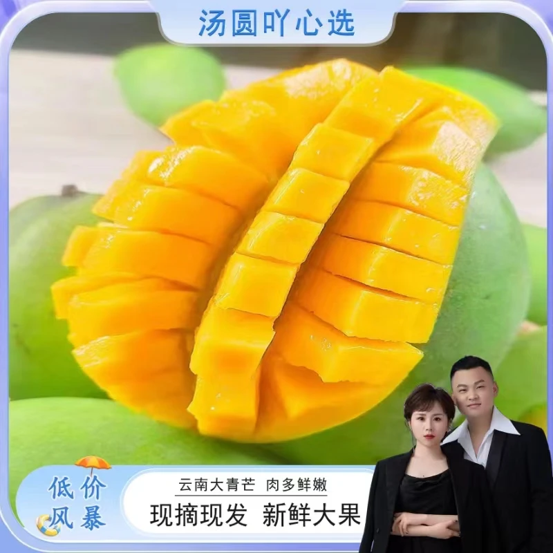 【放软食用】甜心云南青芒单果中大果无丝果冻肉新鲜水果甜带箱5斤