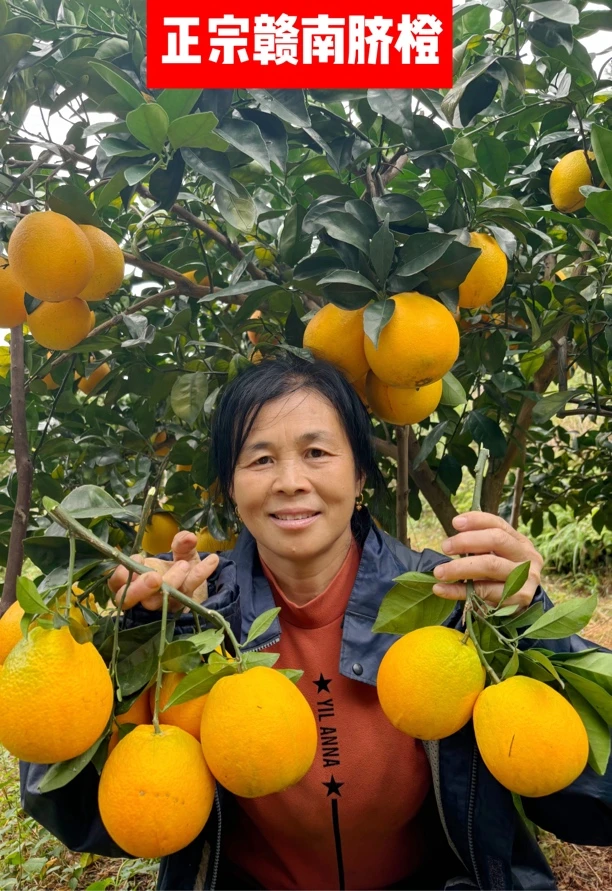 赣南脐橙正宗江西赣南脐橙香甜多汁现摘新鲜水果产地直发