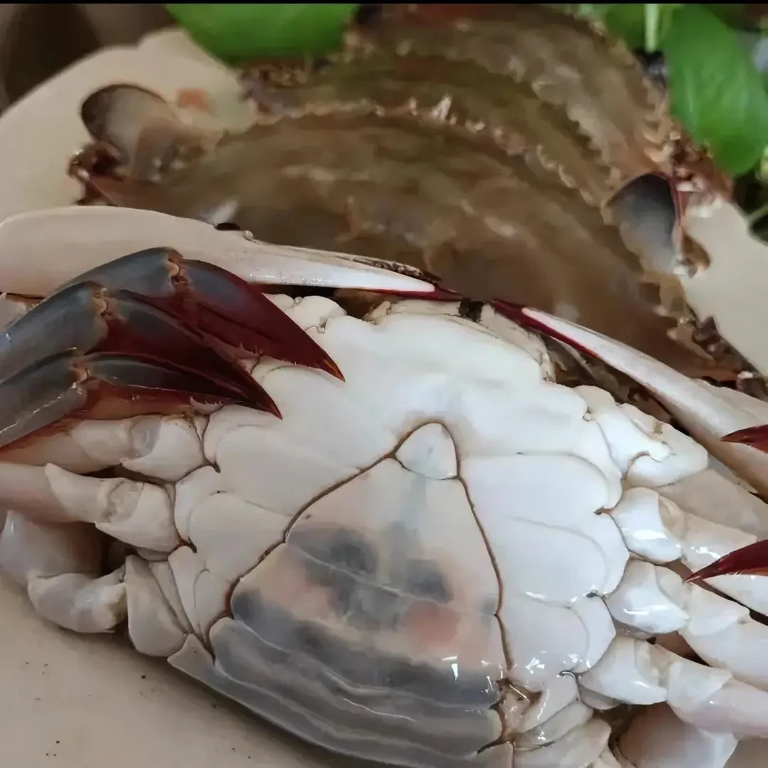 一卤鲜不咸不淡咸蟹子，省内顺丰包邮一斤起