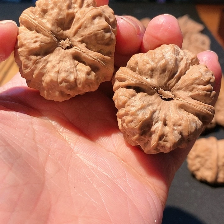 猴头核桃吊坠温**雅嗯嗯