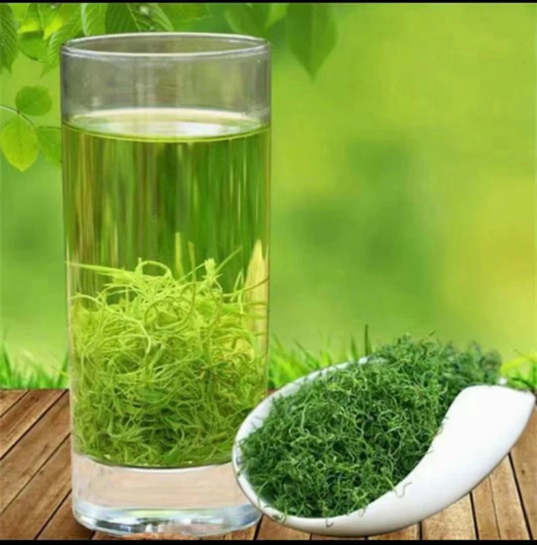 (残疾人创业)2025新神农架绞股蓝深山七叶茶手工茶包邮