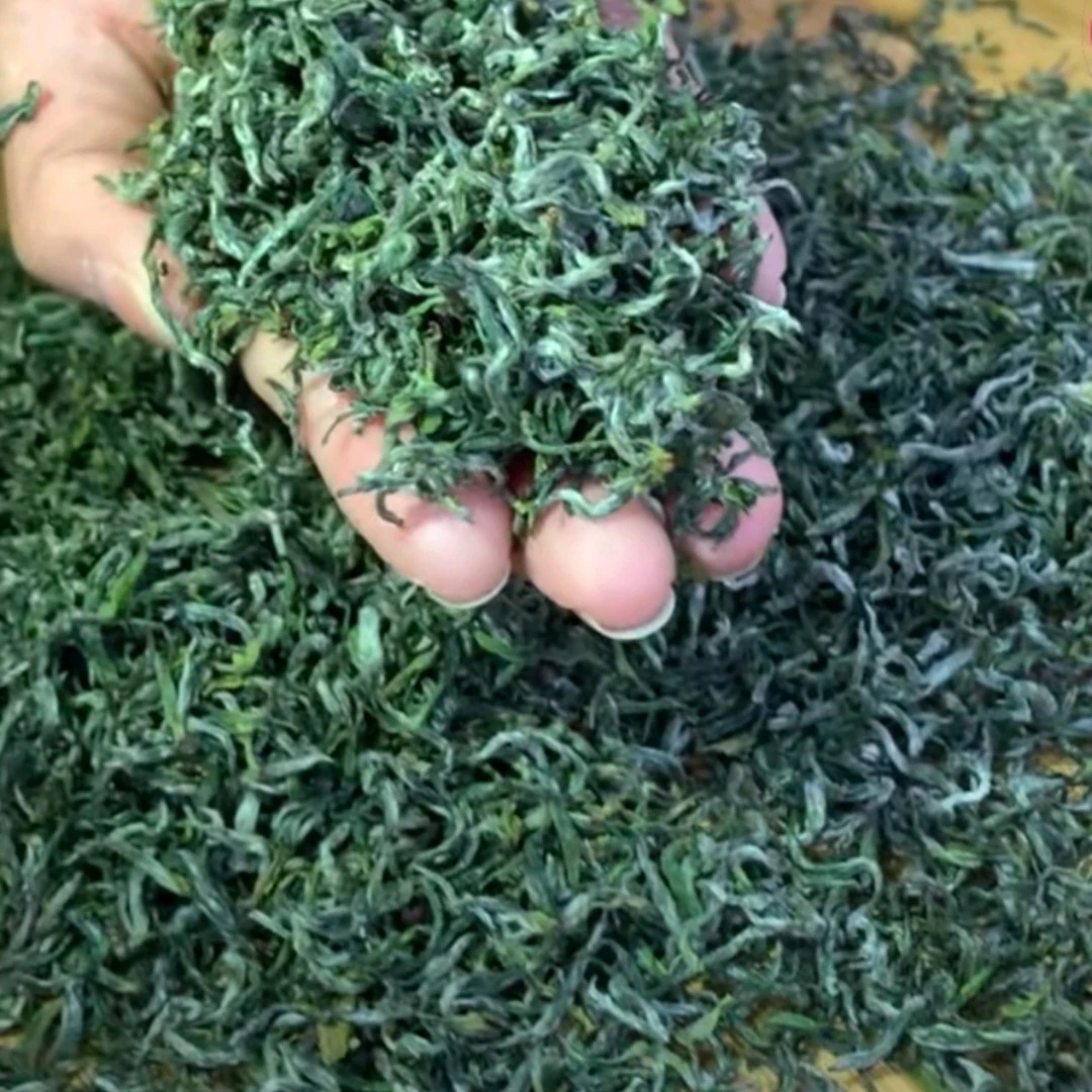 shennongli/神农丽2024新生态神农架高山翠芽炒青茶500g栗香包邮