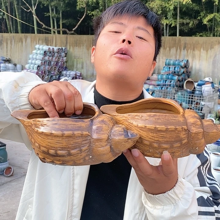 红陶20CM以下海螺