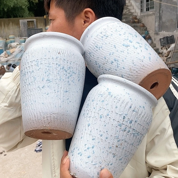 红陶20CM以下正品