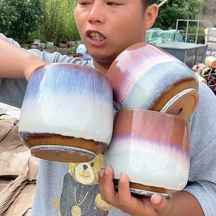 红陶20CM以下正品