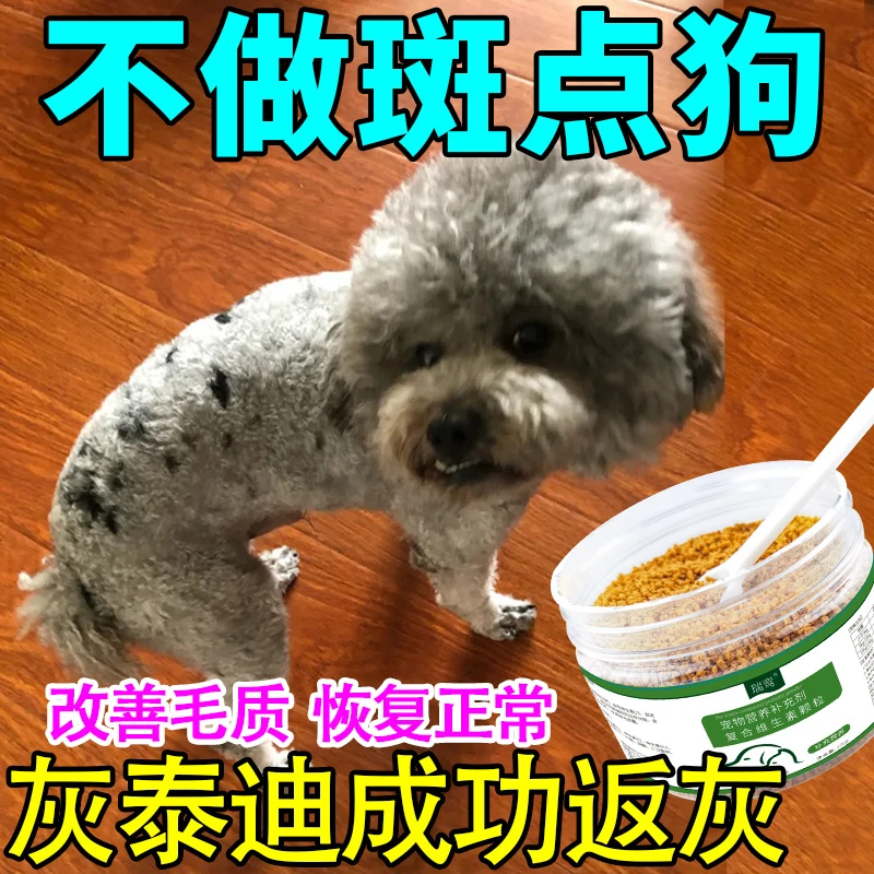 灰泰迪不返灰有黑毛专用营养品快速返灰促进褪色恢复狗狗美毛爆毛