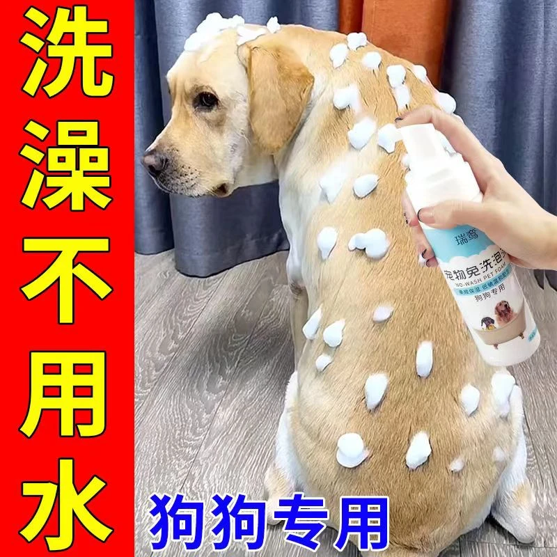 免洗干洗泡沫幼犬干洗泡泡免水洗清洁抑菌除臭留香美毛免洗沐浴露
