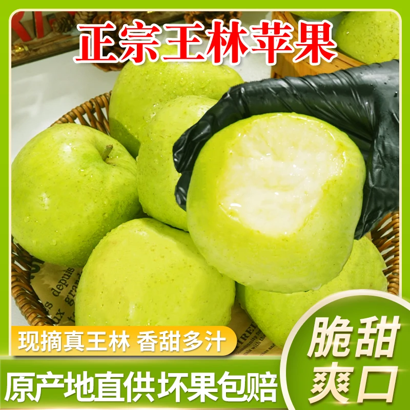 正宗山东王林苹果青森苹果青苹果雀斑美人现摘现发脆甜5斤/9斤FL