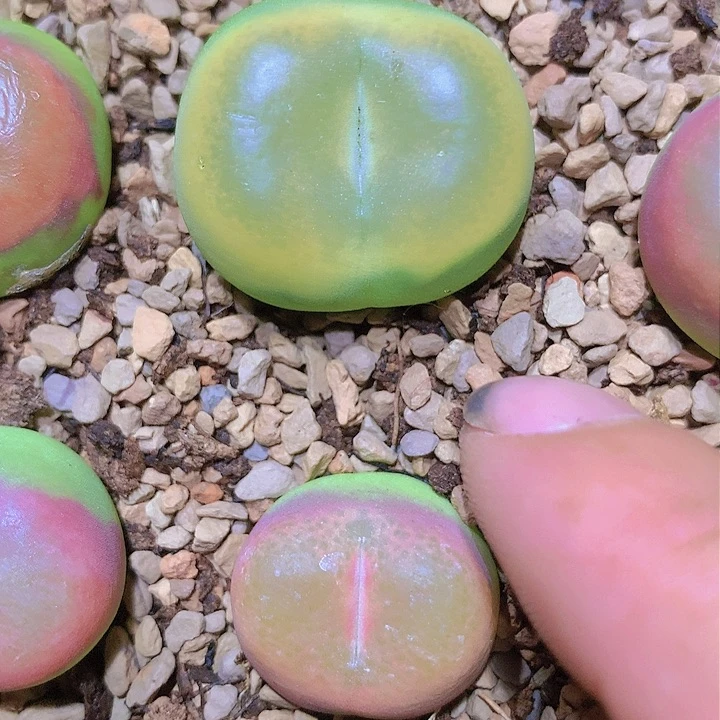 111111111111111111111