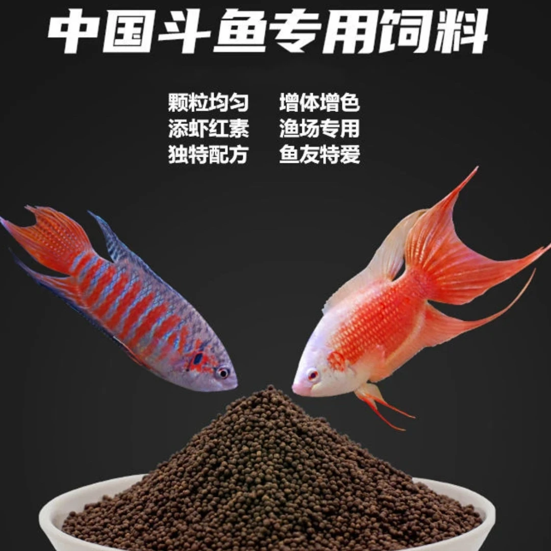 营养斗鱼饲料中华普叉专用鱼粮小颗粒鱼食小型热带蓝吉罗观赏鱼