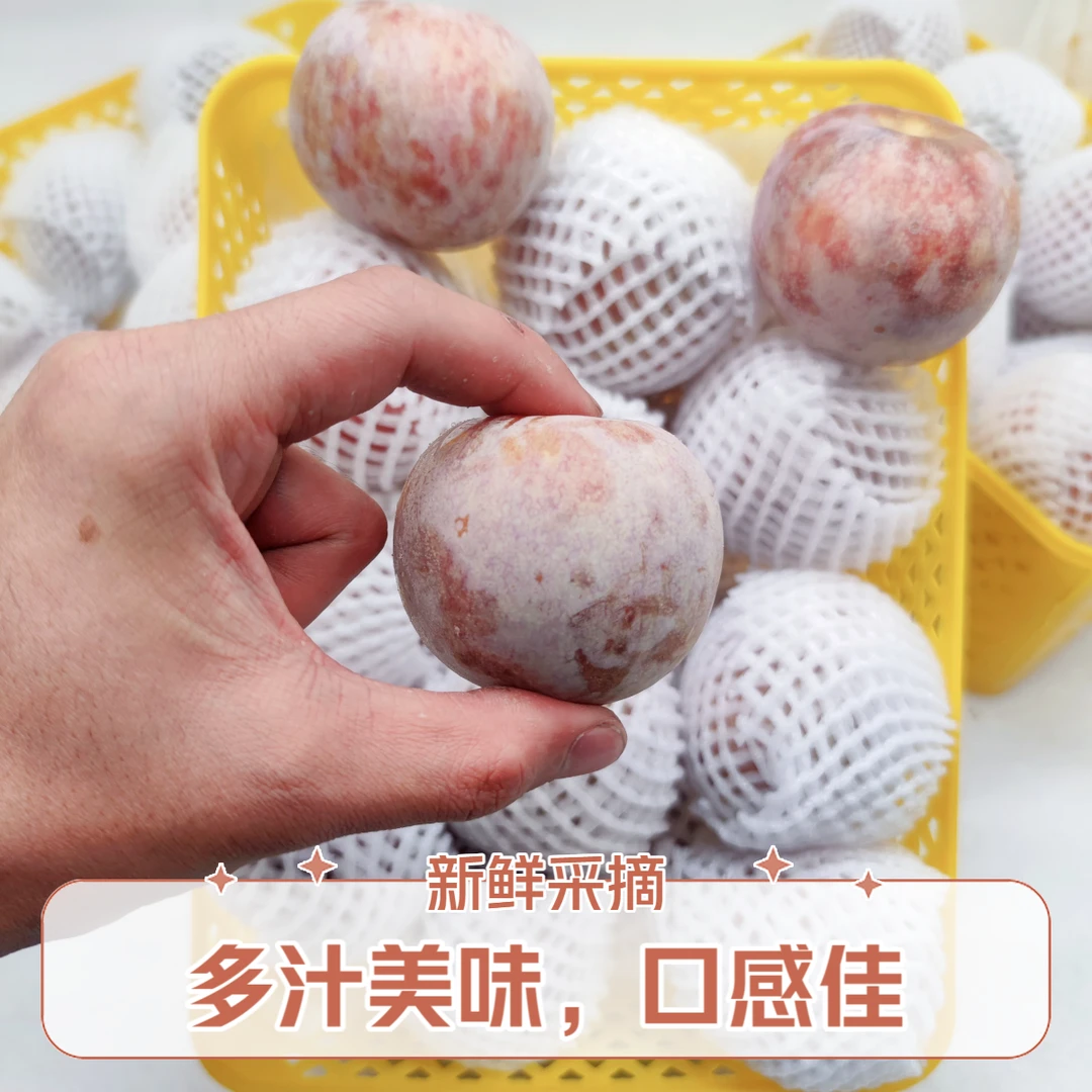 【顺丰空运】喀什恐龙蛋（3.5斤净重）新疆特级哈密瓜