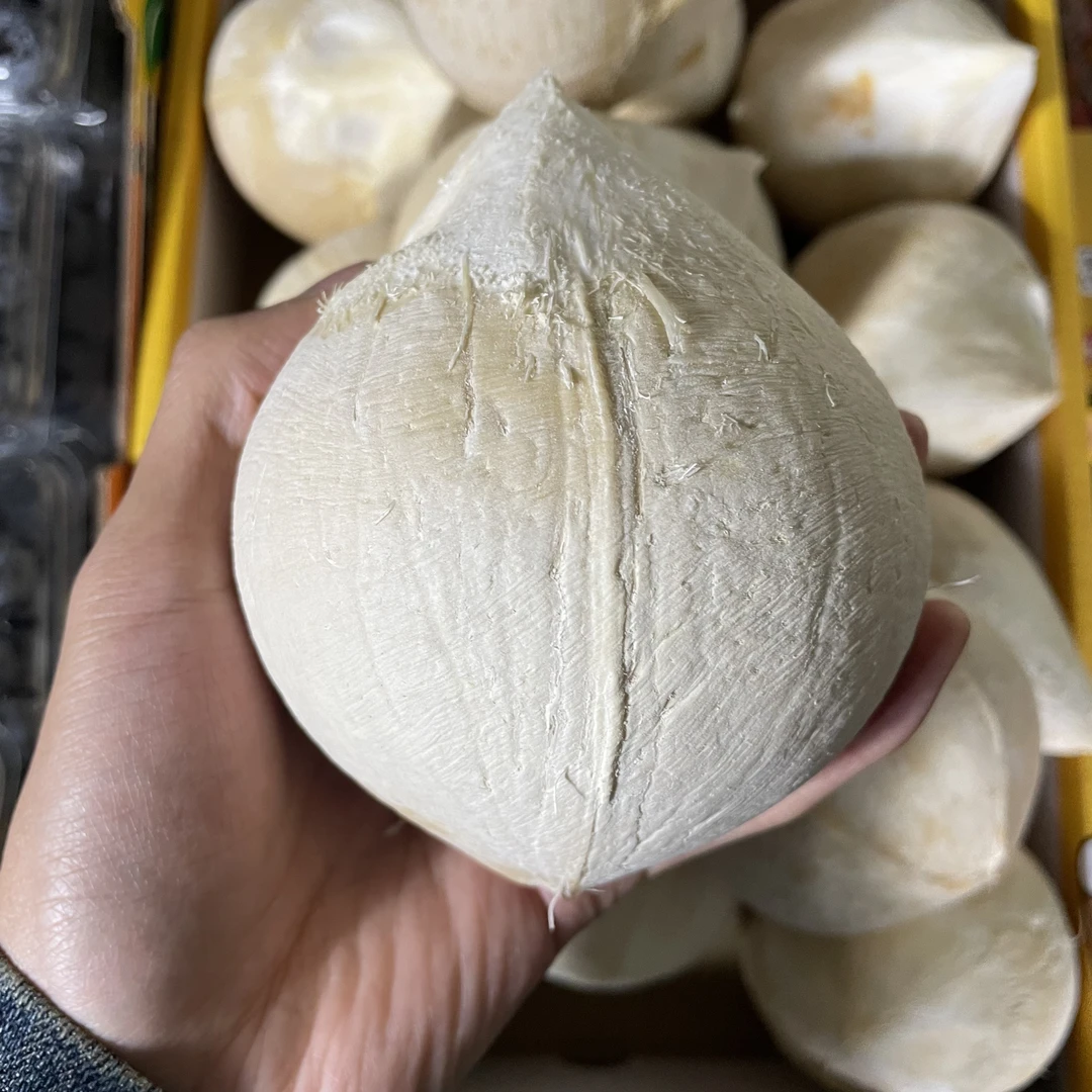 【泰国椰皇水果】Jia农椰皇  5颗/10颗装新疆包邮