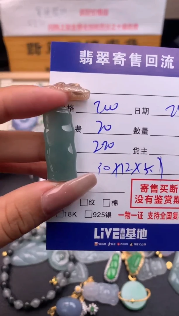 【闪购商品】翡翠颈饰未镶嵌10115913