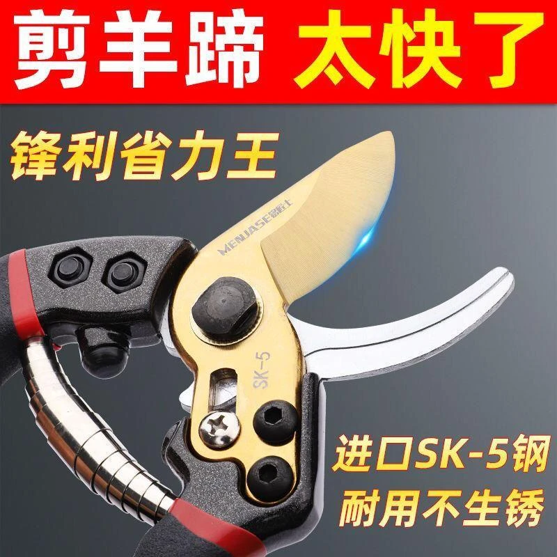 修羊蹄子剪刀修猪蹄钳子兽用剪脚趾指甲剪刀神器牛蹄修理白刃修蹄