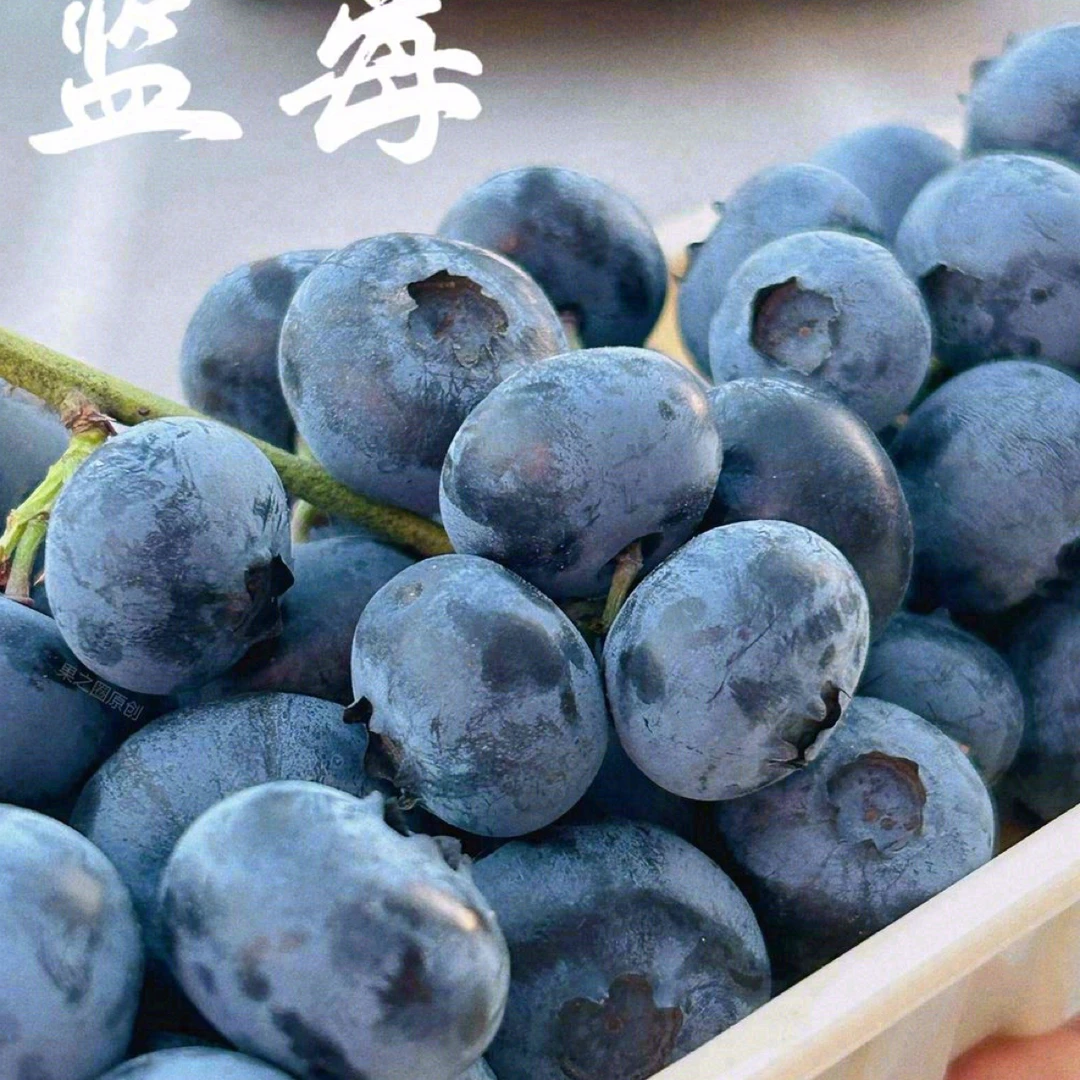 「大自然水果钻石」蓝莓  15盒  900克