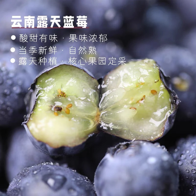 云南蓝莓  18+酸甜可口 顺丰包邮