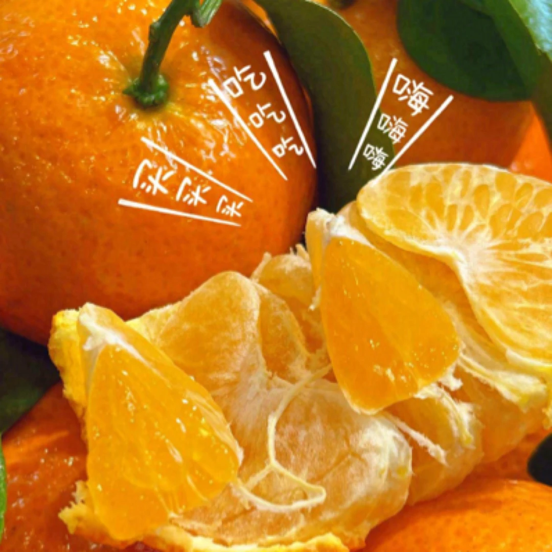 正宗砂糖橘沙糖桔中小果酸酸甜甜毛重6.5公斤