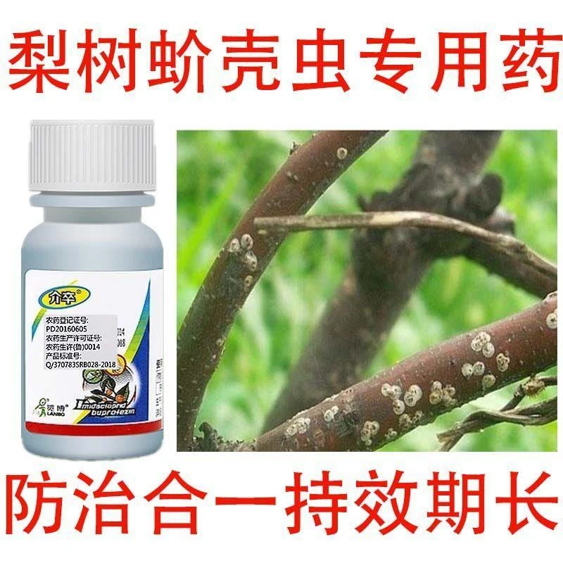 梨树蚧壳虫专用药梨树含量喷施高效杀虫剂梨树含量强效药专杀农药