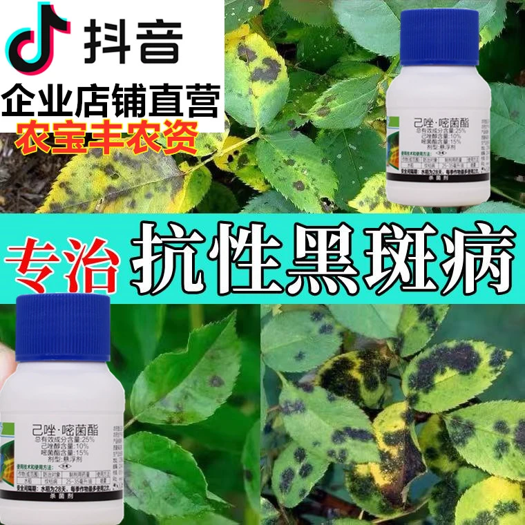 月季黑斑病专用花园常用药多菌灵杀菌剂花卉植物多肉白粉病家活性