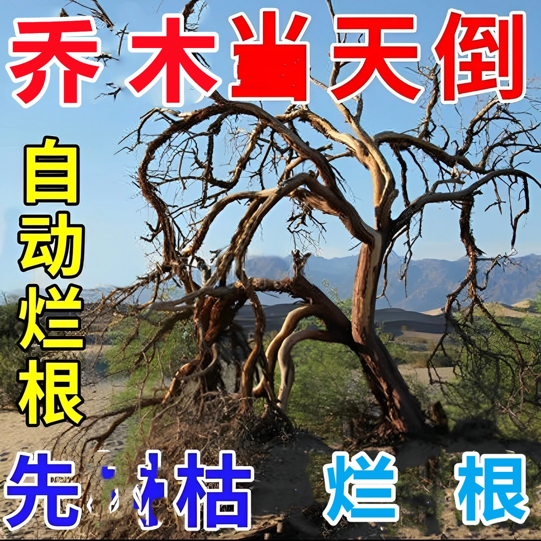 除杂草环嗪酮农药杀邻居竹子弄死小区灌木灭草杀草藤蔓除草烂根剂