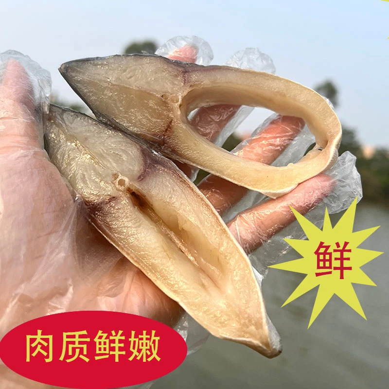 广东阳江【一斤装纯鲳鱼肉】淡晒金鲳鱼干鱼中段肉仓鱼干咸鱼干海味