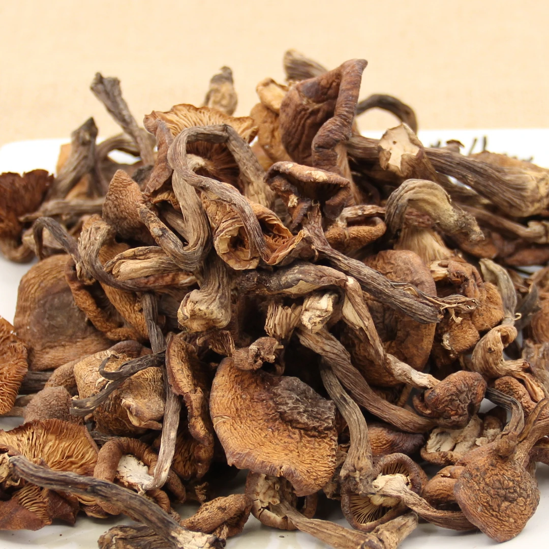 榛蘑干货东北小鸡炖蘑菇新下山正当季健康鲜香名菜精选新货