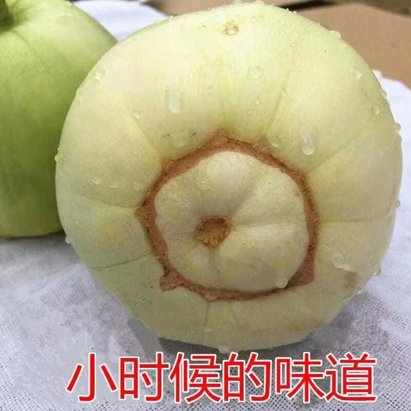 河南新鲜小香瓜甜瓜薄皮本地小白梨瓜pk巴盟香瓜多汁3斤4.5斤甜宝