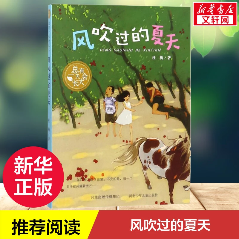风吹过的夏天  儿童文学