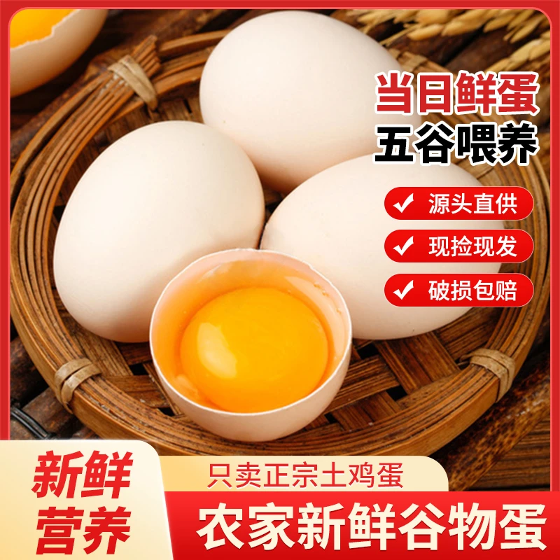 正宗散养土鸡蛋新鲜土鸡蛋10枚/20枚/30枚/40枚单枚40克新鲜鸡蛋N