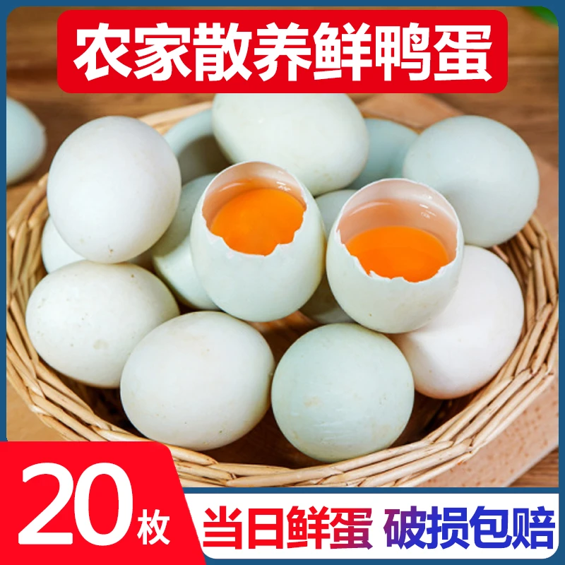 正宗农家散养绿壳生鸭蛋大个鲜鸭蛋10/20枚土鸭蛋现捡现发M