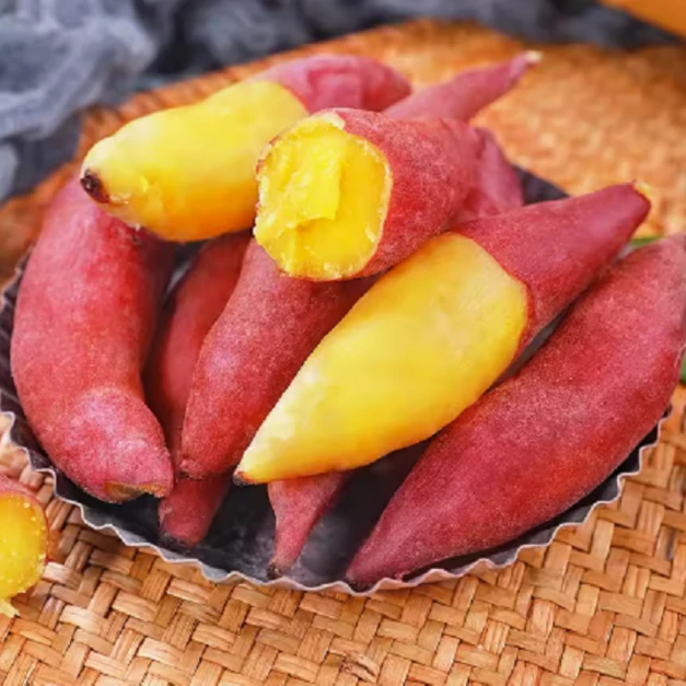 海南小香薯沙地蜜薯新鲜装软糯甜香红薯地瓜番薯三斤五斤装蒸煮